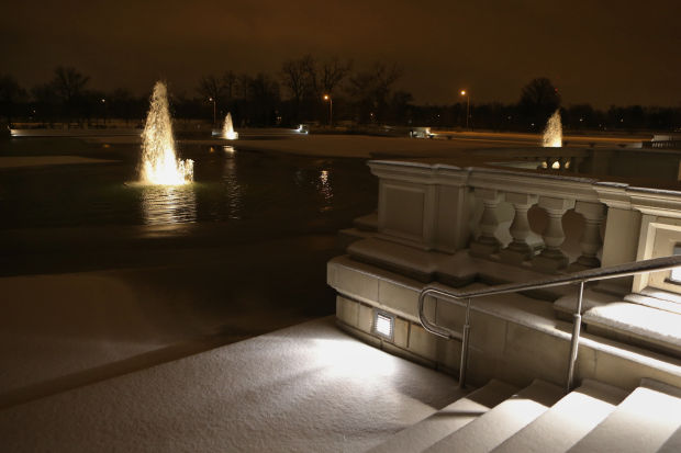 Night Light in Forest Park